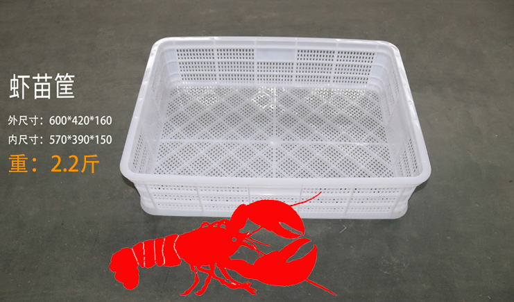 益樂上新啦！蝦苗存活率低？蝦苗筐聽完想打人