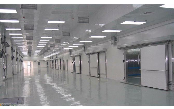 這款塑料托盤打入“冷宮”，也能混的如魚得水？